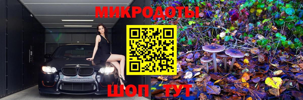 купить   Псилоцибиновые грибы GOLDEN TEACHER  Вход с VPN  Псилоцибиновые грибы Psilocybine cubensis  Усть-Джегута 