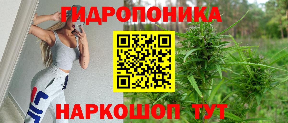 Бошки Шишки ГИДРОПОН  Вход с VPN  Усть-Джегута  Каннабис семена  Конопля VHQ 